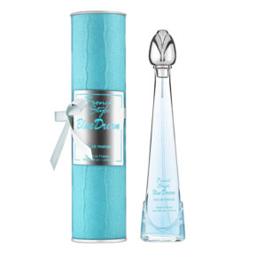 DINA FRENCH STYLE BLEU 40ML